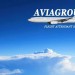 AviaGroup